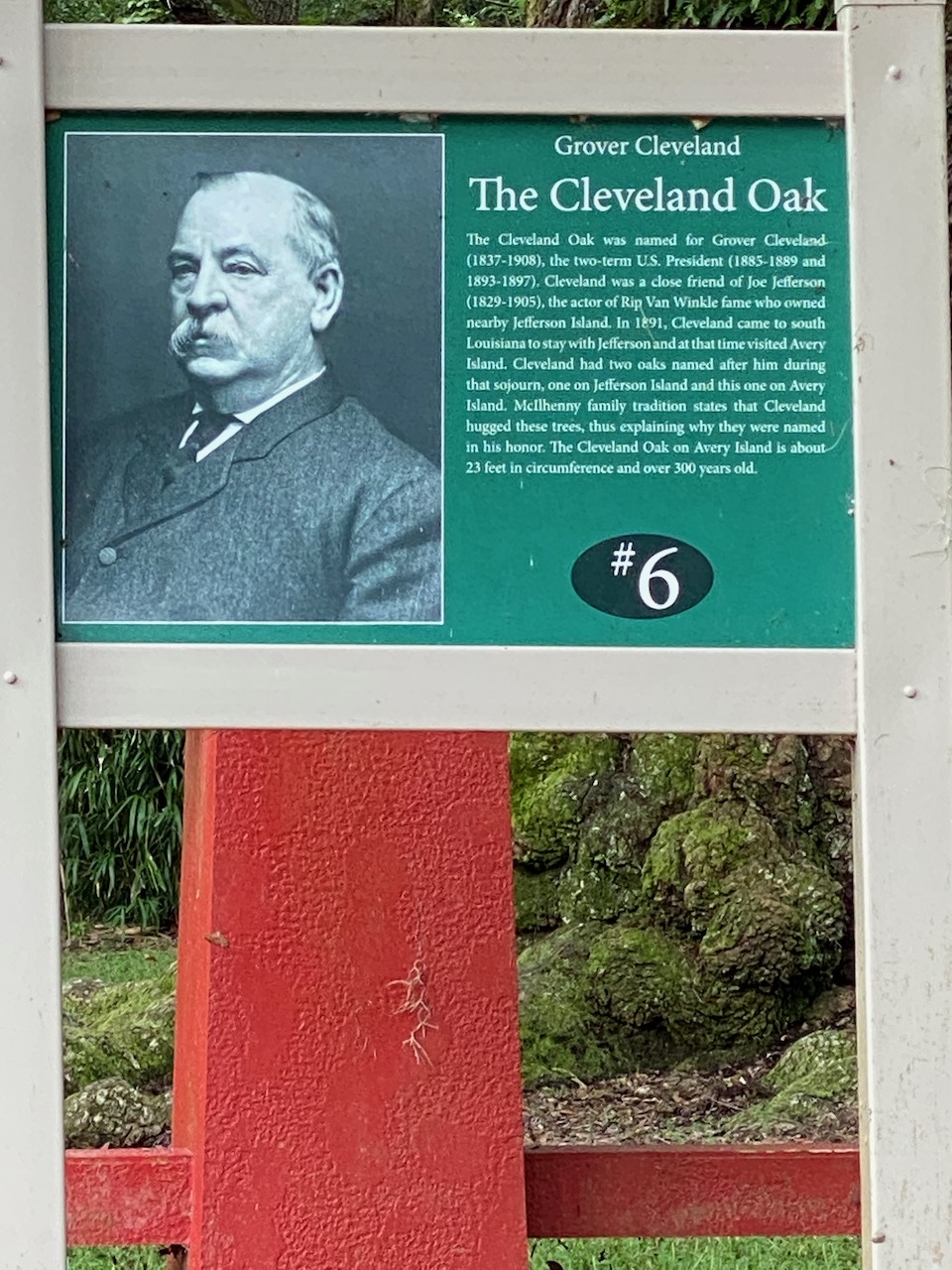 avery island la - cleveland oak 02.jpeg