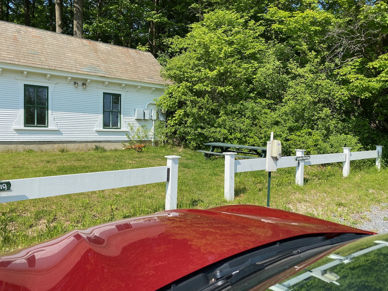 vermont - fox morgan horse farm 02.jpeg