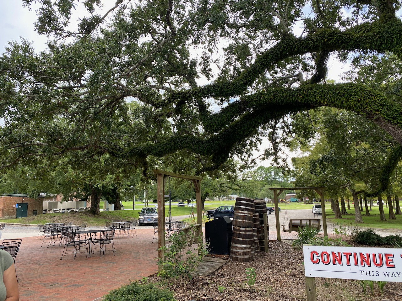 avery island la - live oaks 02.jpeg