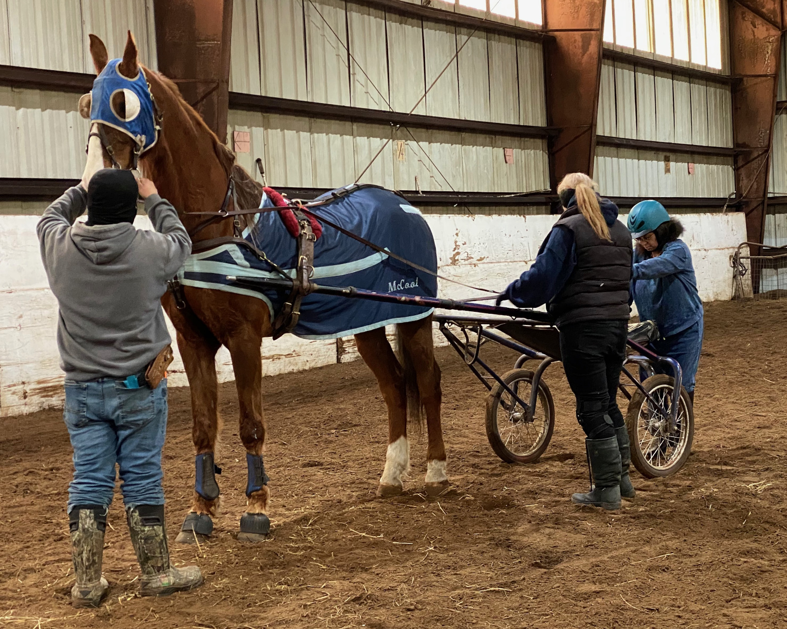 horse - nutty-irishman-03.jpeg