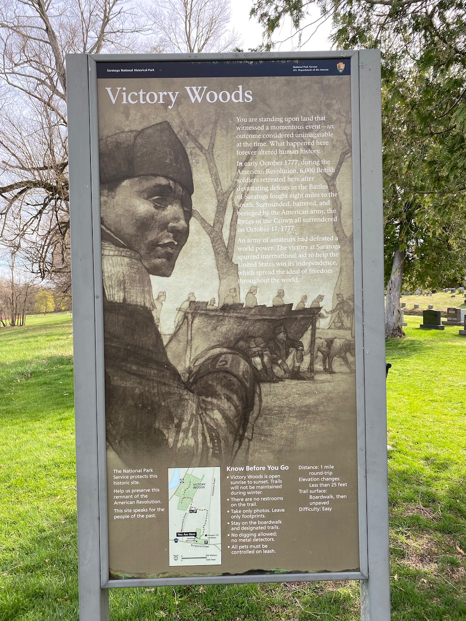 saratoga - saratoga 03.jpeg